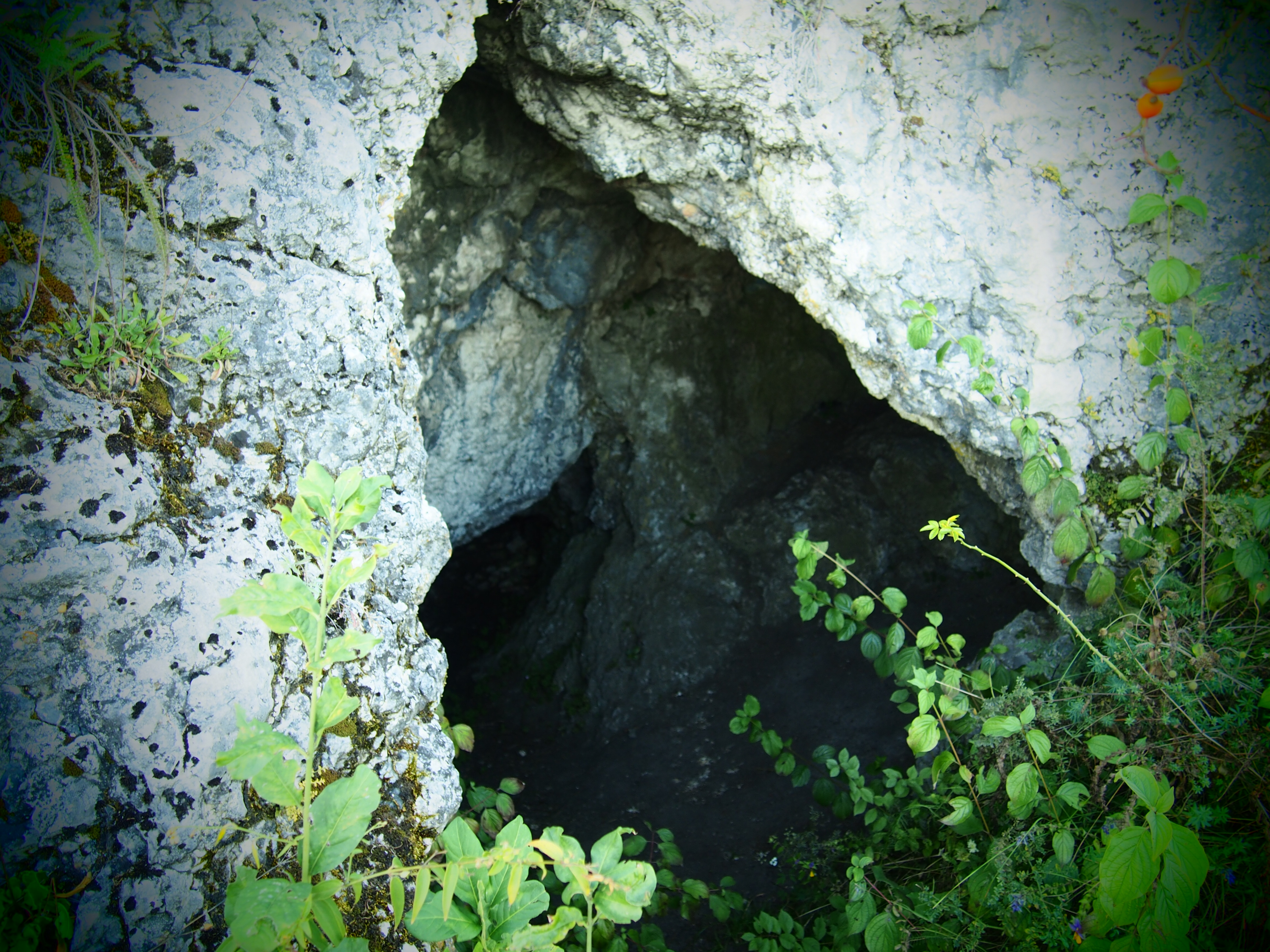 Kajasówka, Jaskinia Przegińska