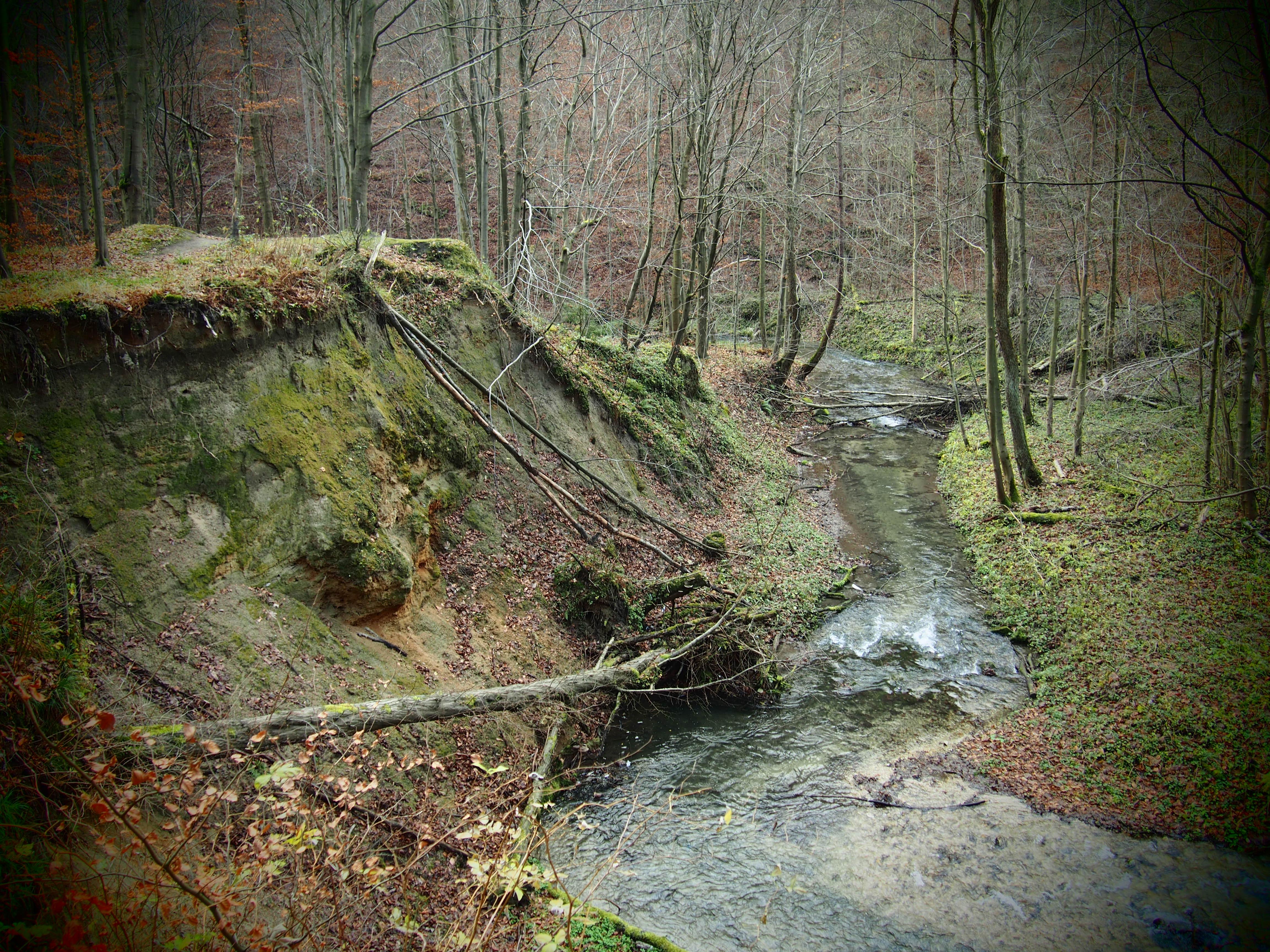 Dolina Racławki