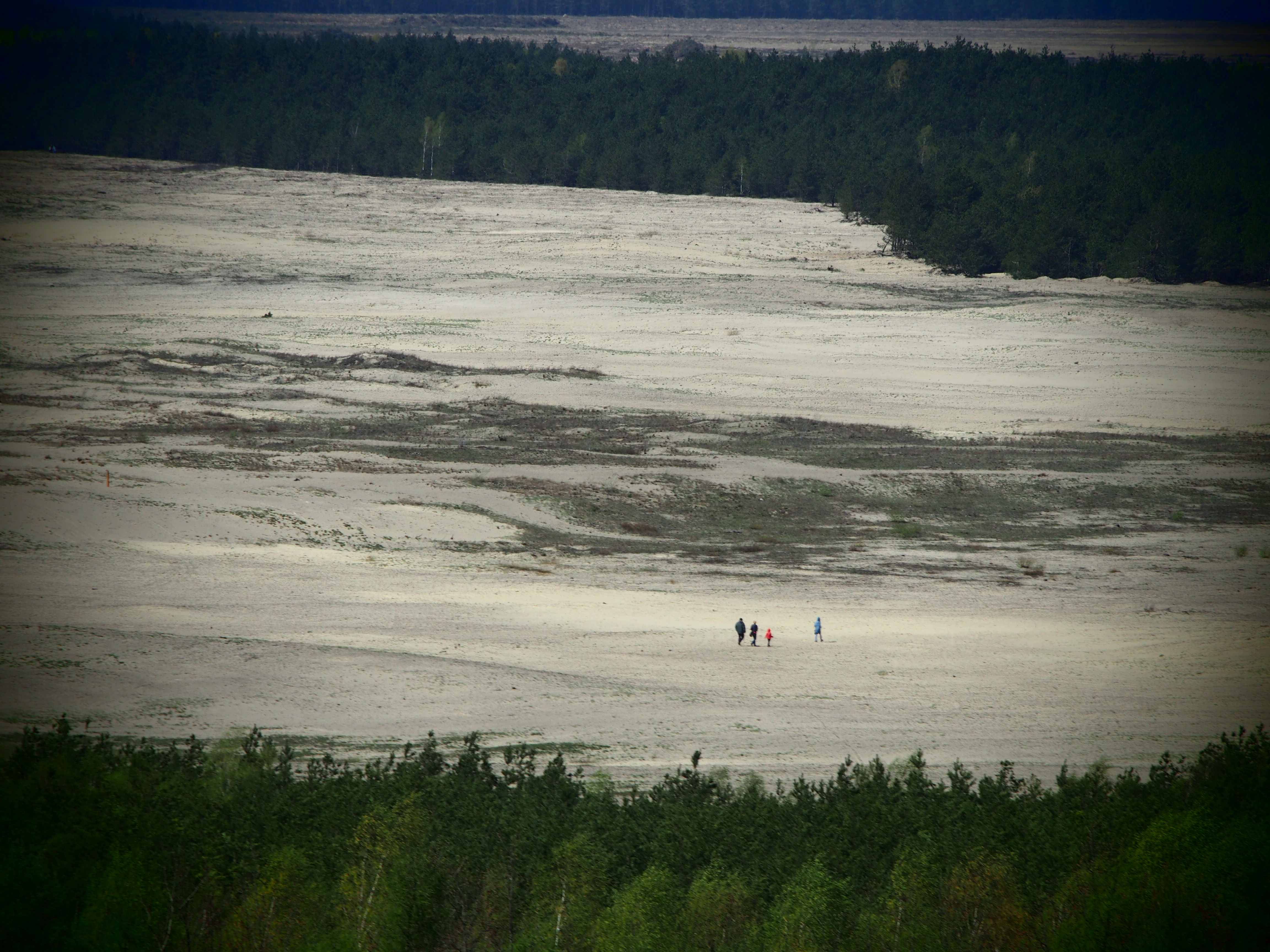 Turyści idący po Pustyni Błędowskiej