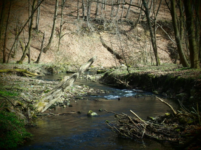 Potok Racławska