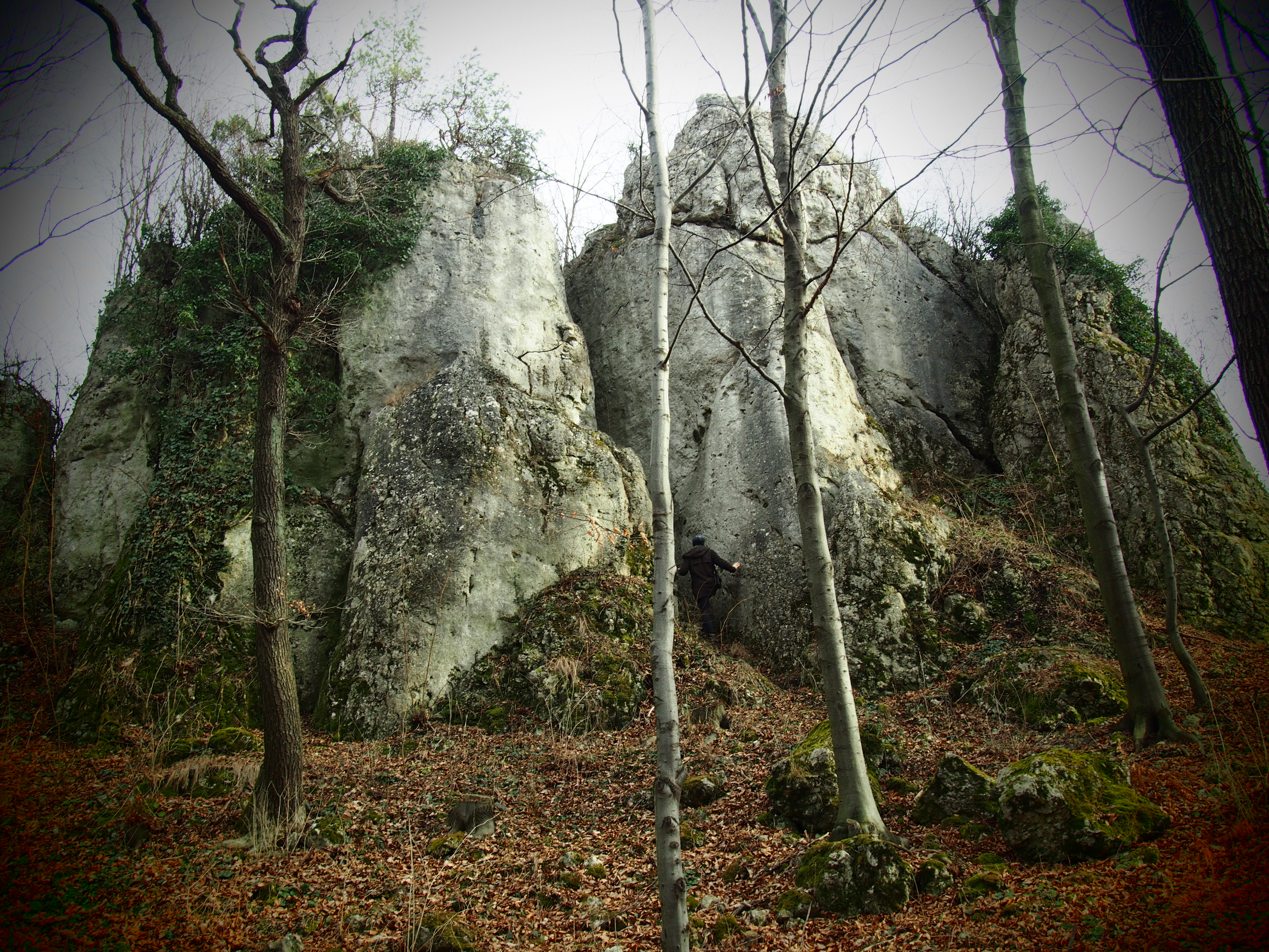 Rezerwat leśny Dolina Szklarki