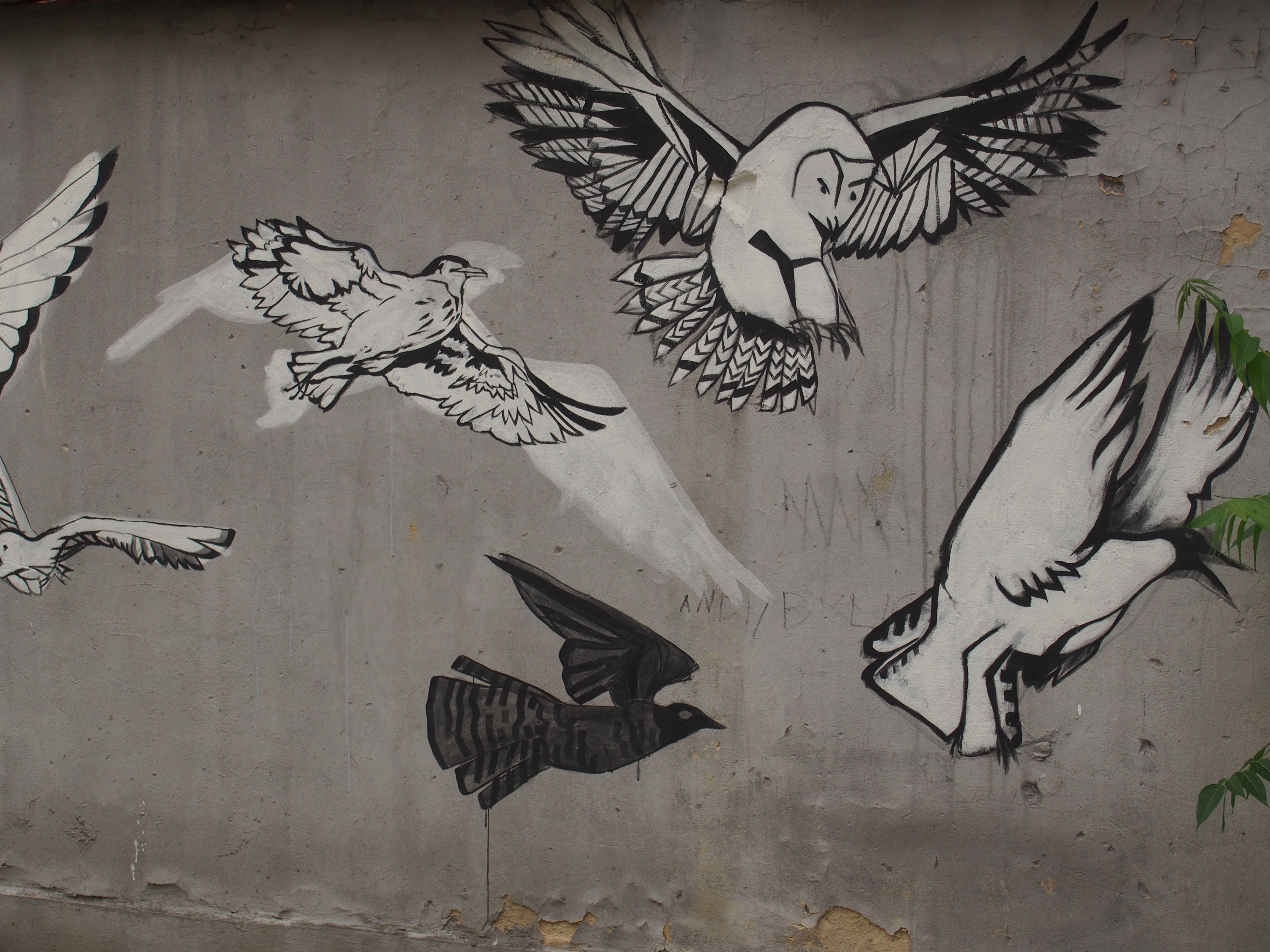 Mural z ptakami w Tarnowie