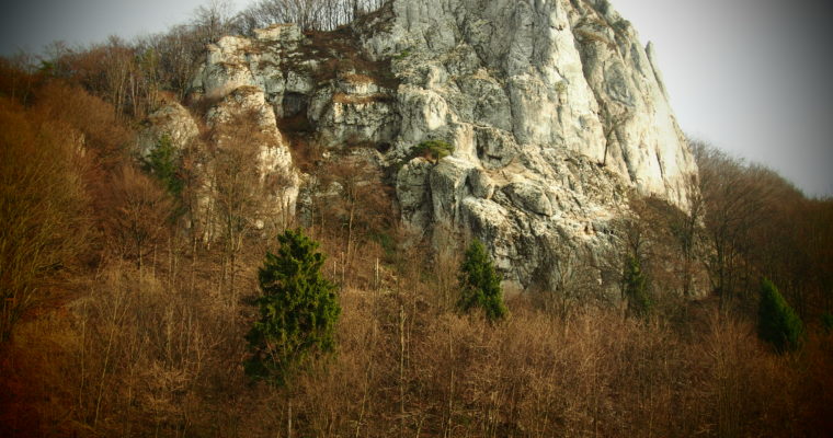 Dolina Będkowska
