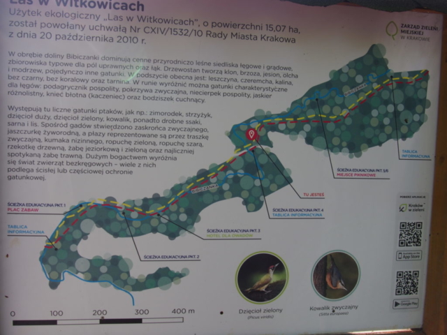 Zdjęcie mapy z tablicy informacyjnej leśnego parku Witkowice