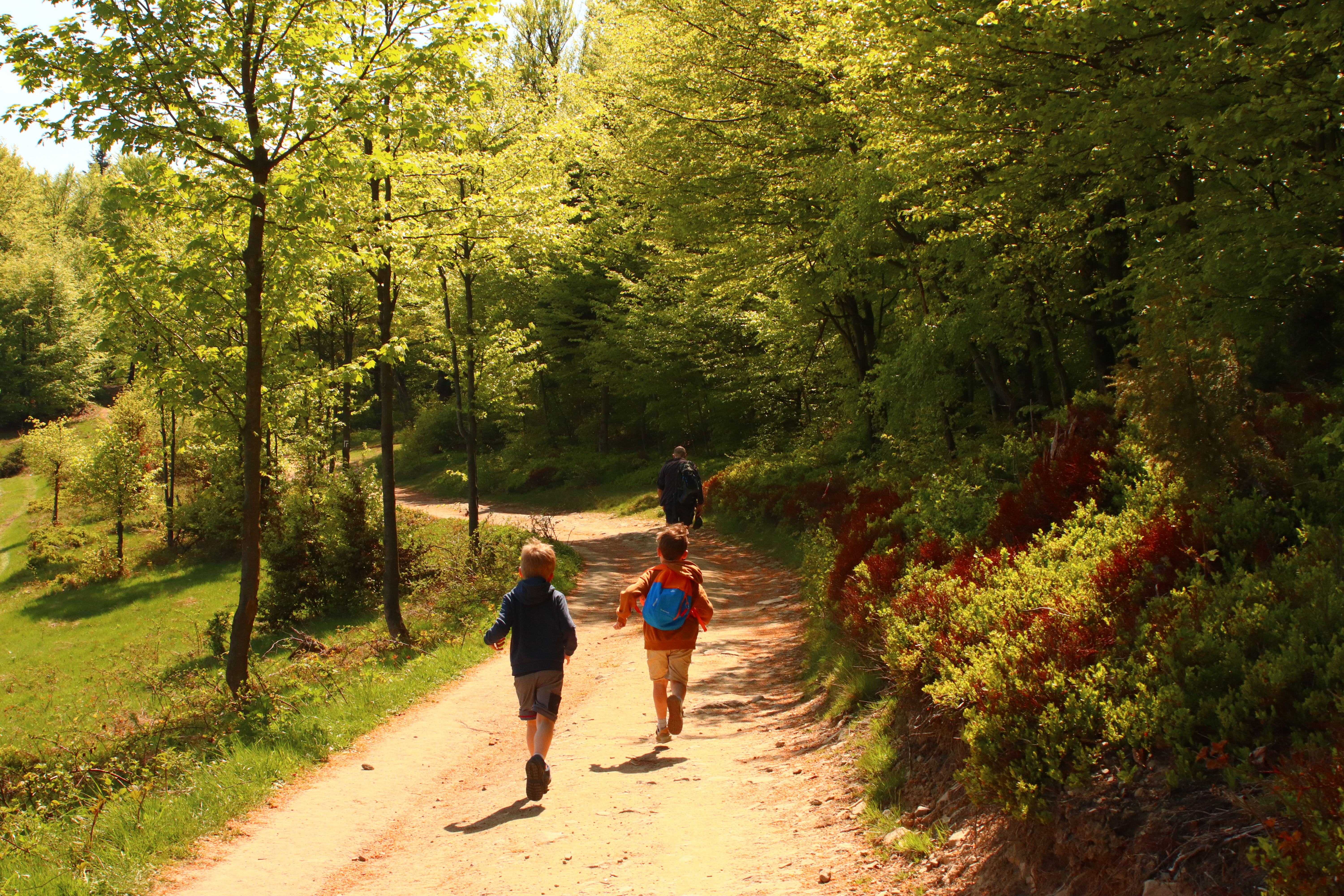 Dwójka dzieci biegąca po szlaku turystycznym