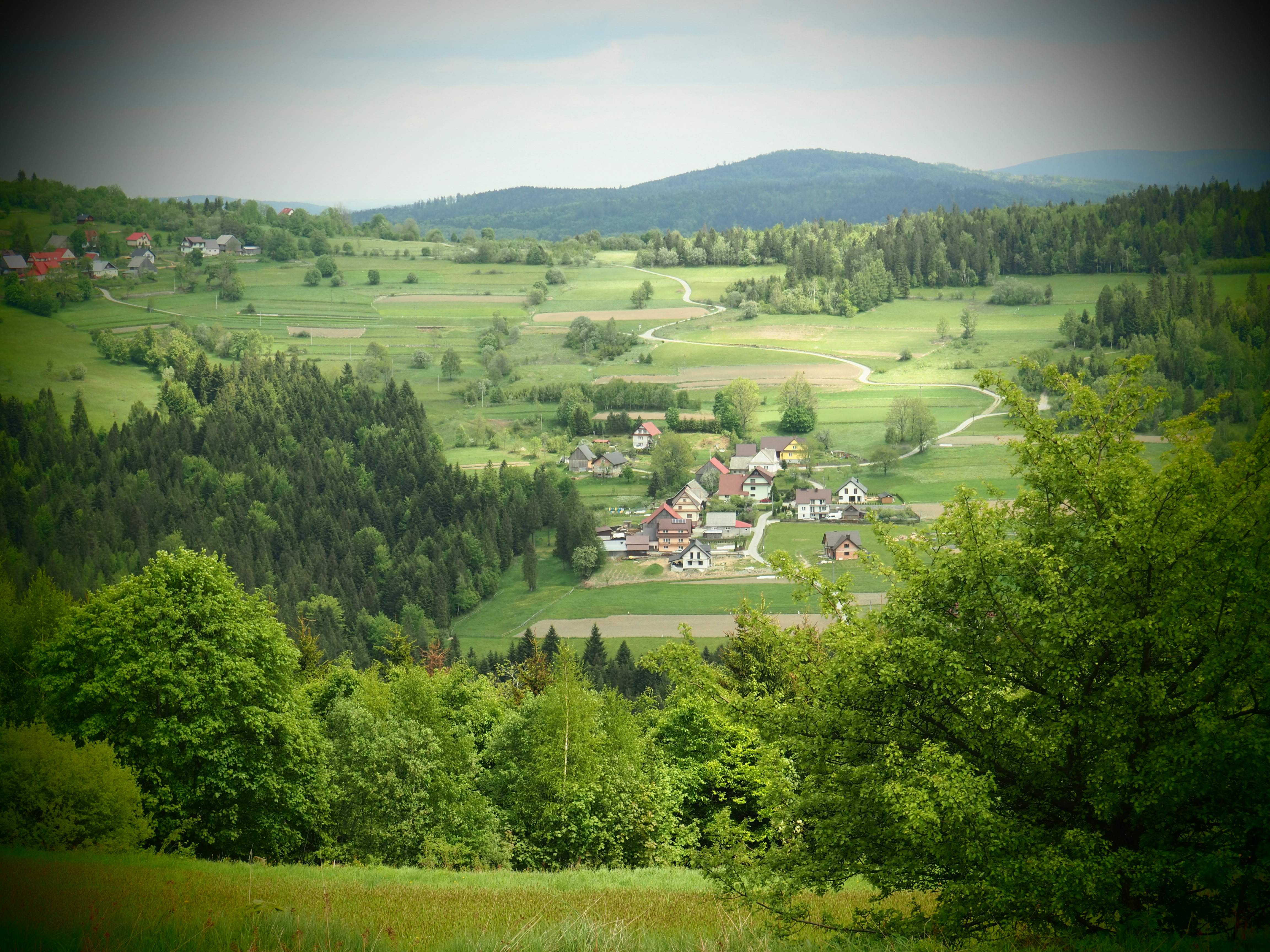 Panorama z małą wioską, polami, lasem, górami